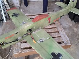 focke01 1